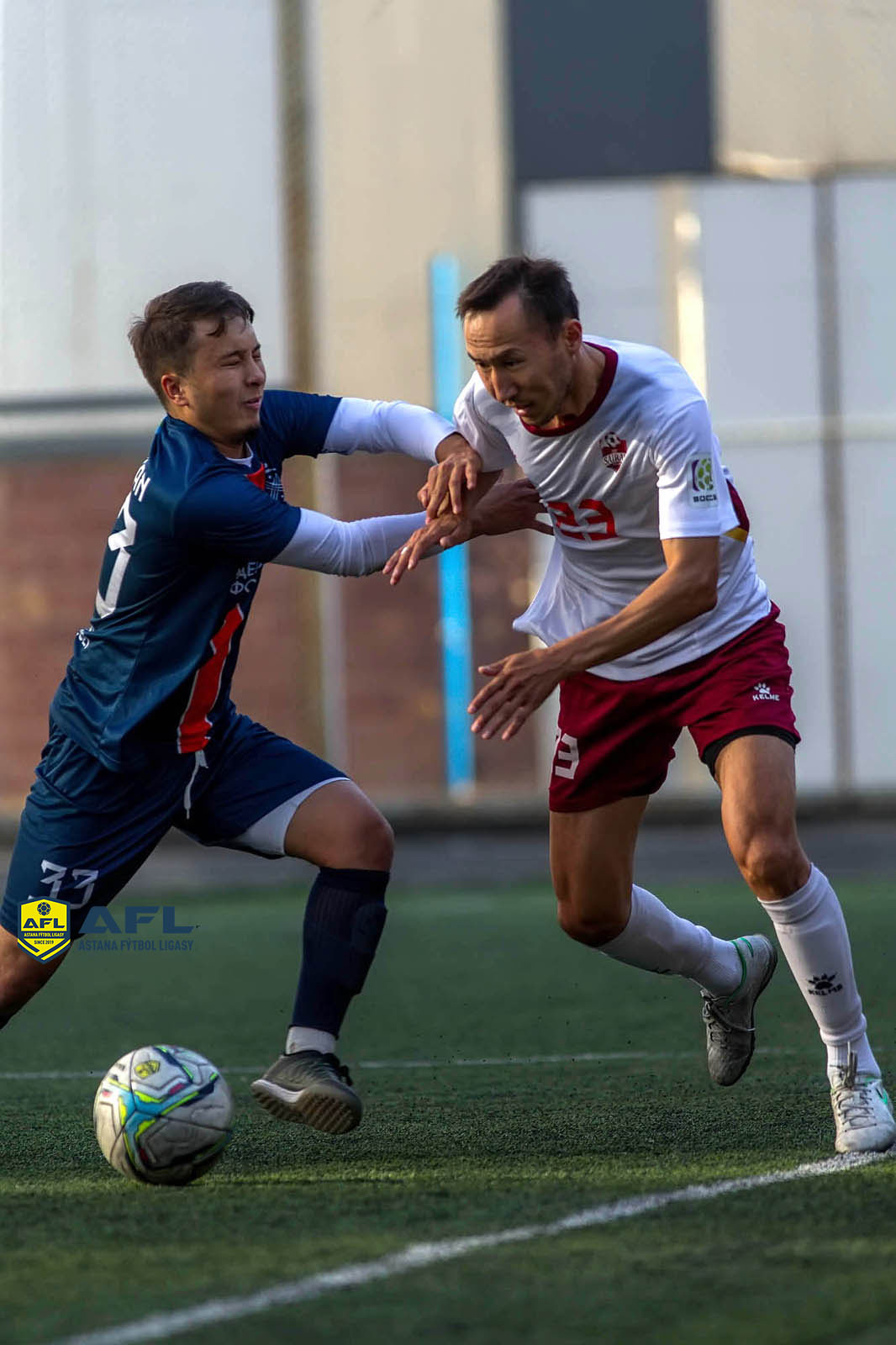 IMG 2530