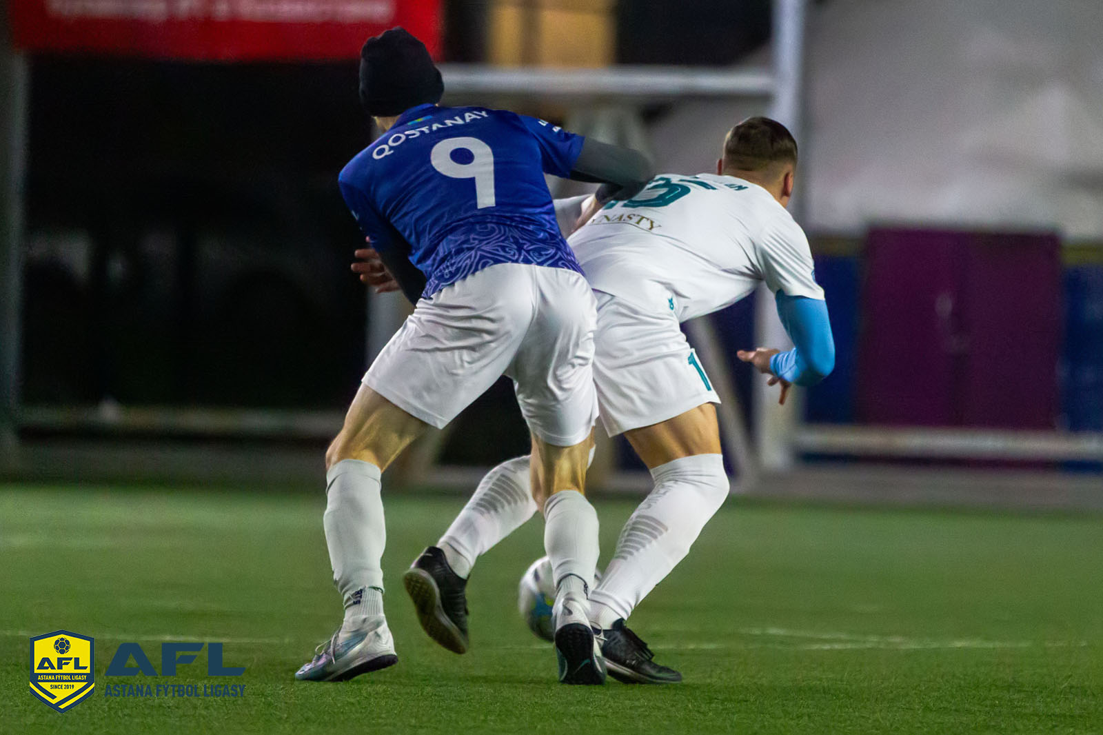 IMG 2317