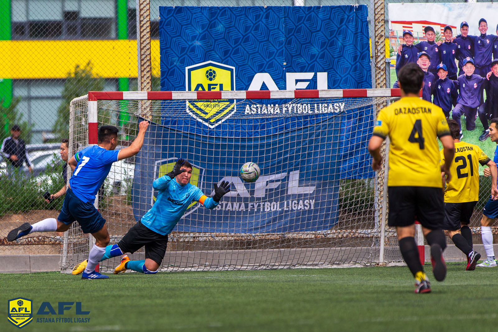 IMG 4181