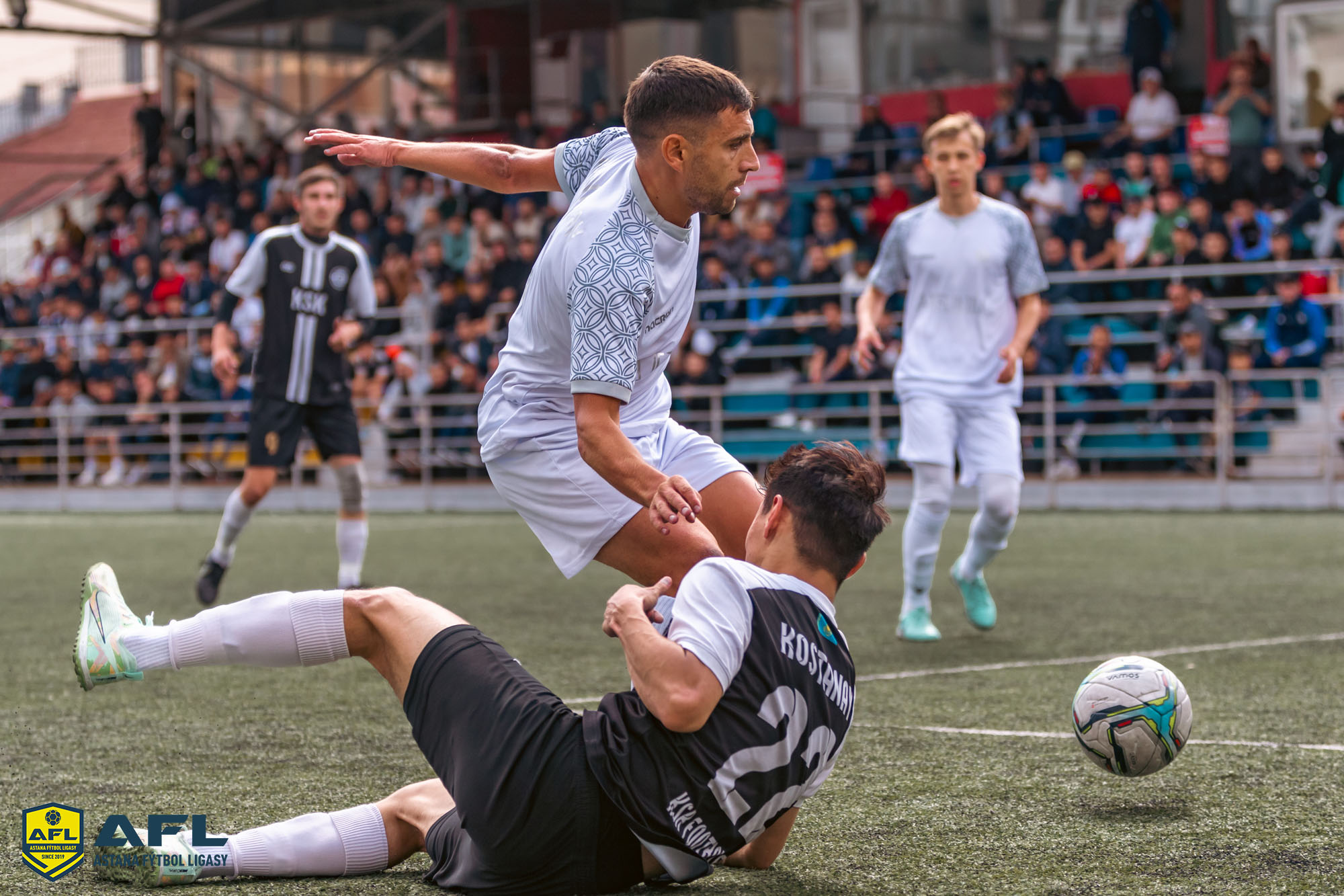 IMG 4064