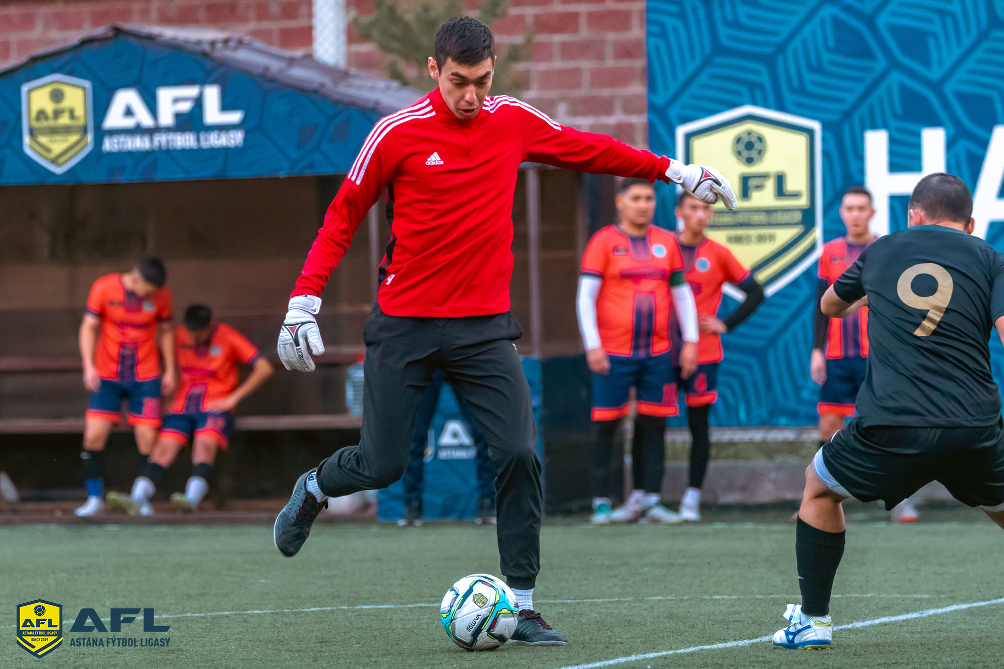 IMG 5669