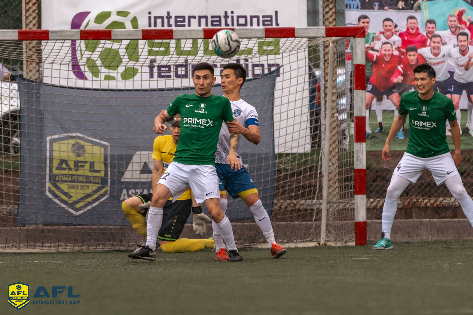 IMG 8958
