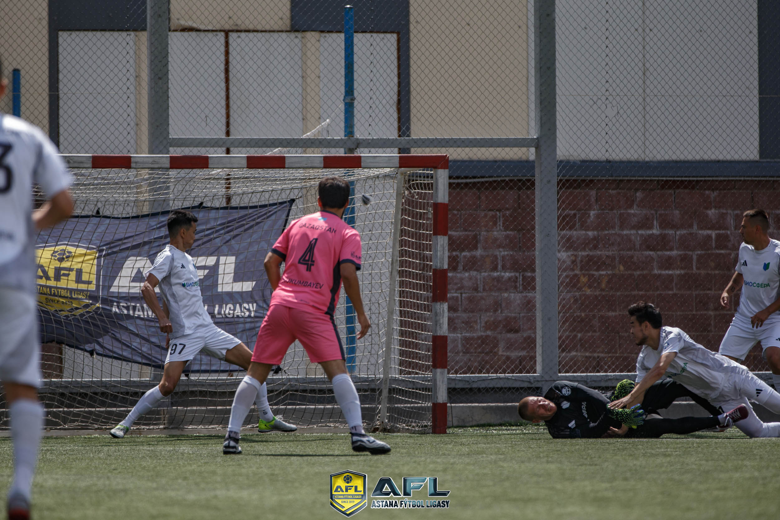 IMG 7664