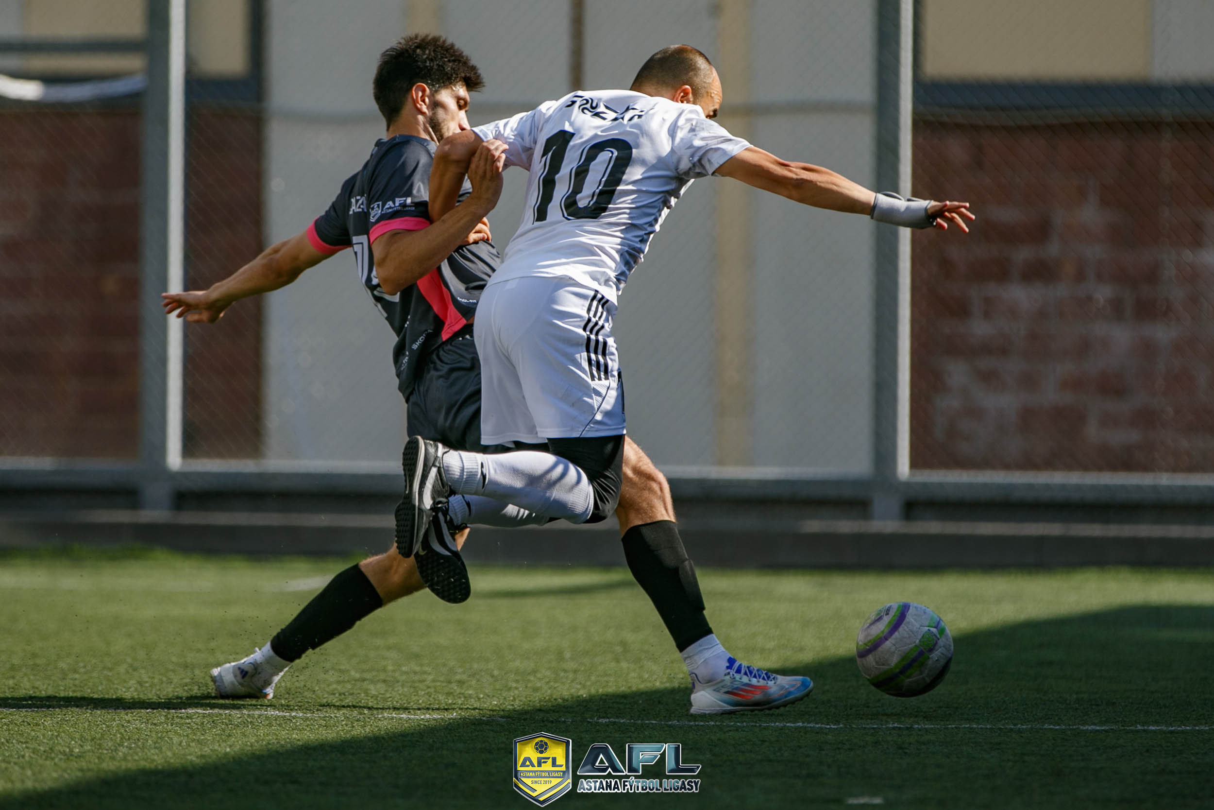 IMG 6582