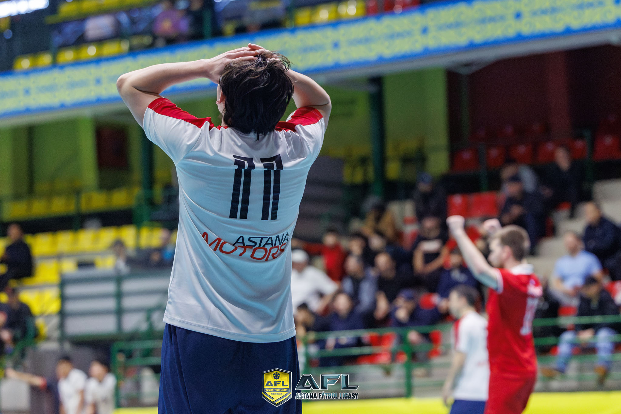 IMG 3650